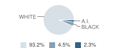 Beacon Academy Student Race Distribution