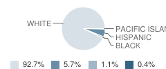 Humboldt Elementary School Student Race Distribution