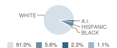 Stafford Middle School / High School Student Race Distribution