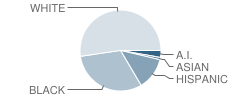 Capital City School Student Race Distribution