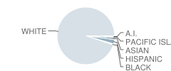 Osage City Middle School Student Race Distribution