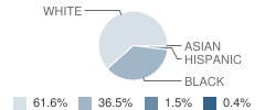 Holmes Junior / Senior High School Student Race Distribution