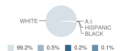 Letcher County Central High School Student Race Distribution