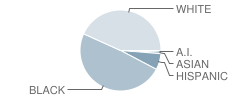 Martin Luther King Jr. Elementary School Student Race Distribution