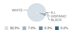 Greenville Elementary School Student Race Distribution
