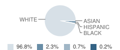 Grandview Elementary School Student Race Distribution