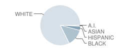 Campbellsville Elementary School Student Race Distribution