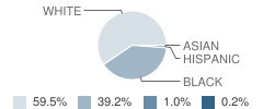 Christian County High School Student Race Distribution