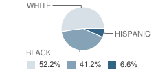 Indian Hills Elementary School Student Race Distribution