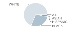 North Drive Middle School Student Race Distribution