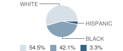 Sixth District Elementary School Student Race Distribution