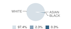 Cumberland County High School Student Race Distribution