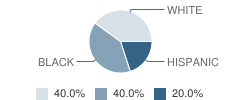 Alternative Placement School Student Race Distribution