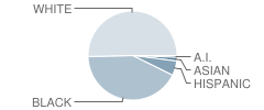 Georgia Chaffee Tapp-South Park Alternative High School Student Race Distribution