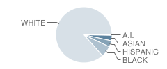 River Ridge Elementary School Student Race Distribution