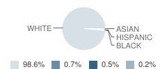 Ludlow High School Student Race Distribution