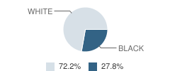 Spectrum Care Academy Student Race Distribution