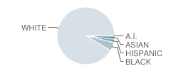 Heath Middle School Student Race Distribution