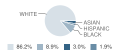 Murray Middle School Student Race Distribution