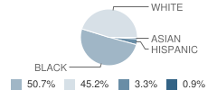 Morgan Elementary School Student Race Distribution