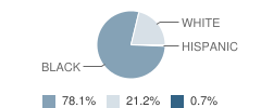 Alexander Learning Center School Student Race Distribution