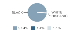 Sophie B. Wright Inst.of Academic Excellence School Student Race Distribution