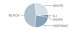 International School of Louisiana Student Race Distribution