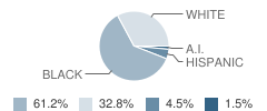 Charlotte Ann Mitchell Educational Center School Student Race Distribution