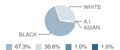 Plain Dealing Middle School Student Race Distribution