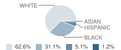 Cope Middle School Student Race Distribution