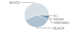 University Elementary School Student Race Distribution