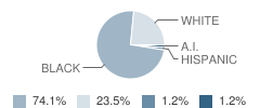 Franklin Alternative School Student Race Distribution