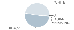 Colfax Elementary School Student Race Distribution