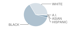 I.a. Lewis Elementary School Student Race Distribution