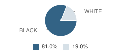 Career Center School Student Race Distribution