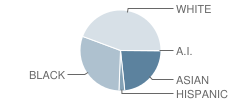 Benjamin Franklin High School Student Race Distribution