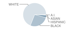 Riser Elementary School Student Race Distribution