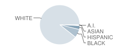 Holly Ridge Elementary School Student Race Distribution