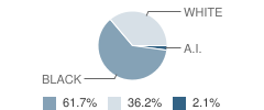 East Street School Student Race Distribution
