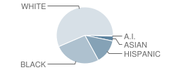 North Polk Elementary School Student Race Distribution