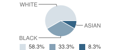 Vernon Parish Optional School Student Race Distribution