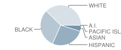 Abby Kelley Foster Charter Public School Student Race Distribution