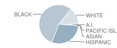 William Mckinley School Student Race Distribution