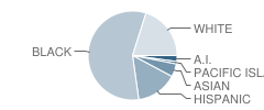 B B Russell Alternative School Student Race Distribution