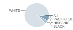 Cape Cod Region Vocational Technology School Student Race Distribution