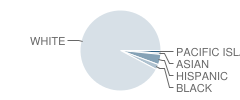 Chatham High School Student Race Distribution