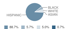 Morgan Elementary School Student Race Distribution