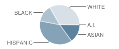 Classical High School Student Race Distribution