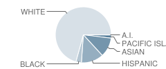 Atkinson School Student Race Distribution