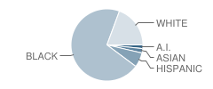 Meade Heights Elementary at Seven Oaks School Student Race Distribution